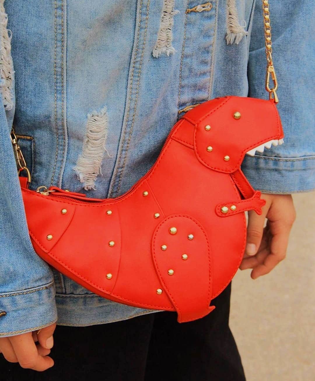 Roary | Mini T-Rex Bag
