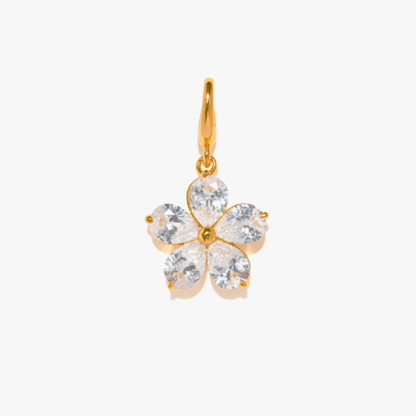 Moonlit Petal | The Flower That Shines